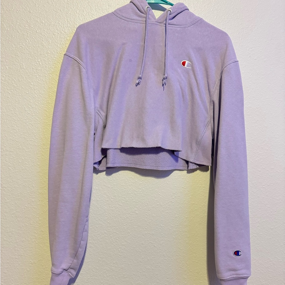 Champion Cropped Hoodie